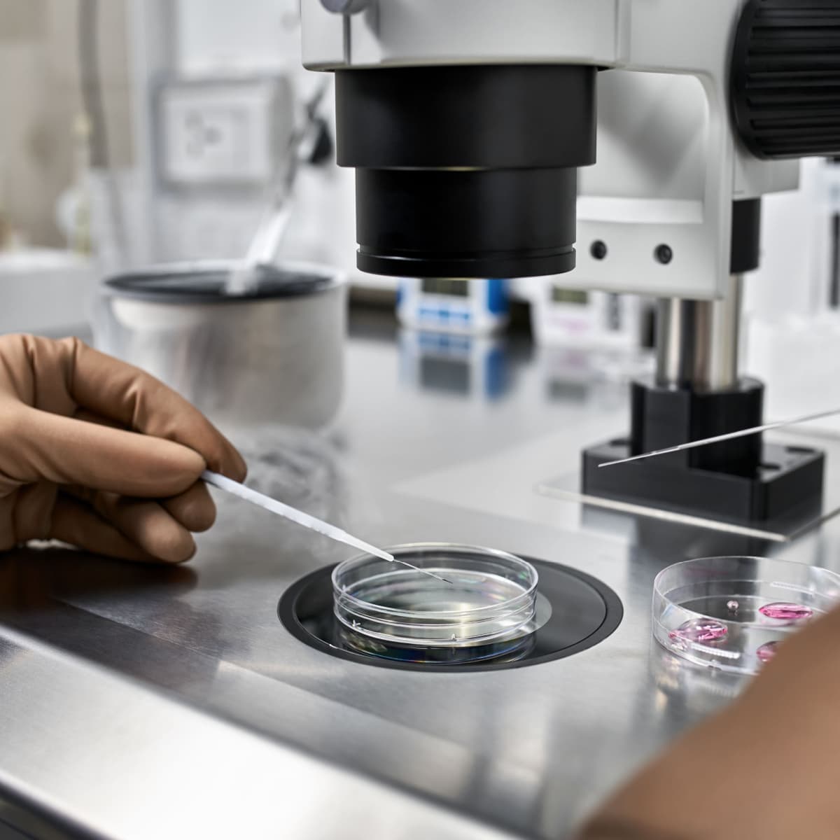IVF Laboratory Services